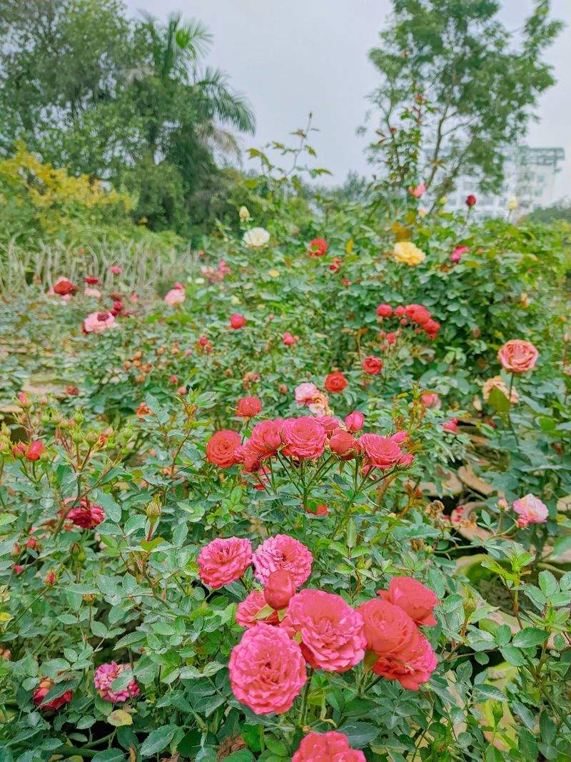 翠景庭園株式会社 7